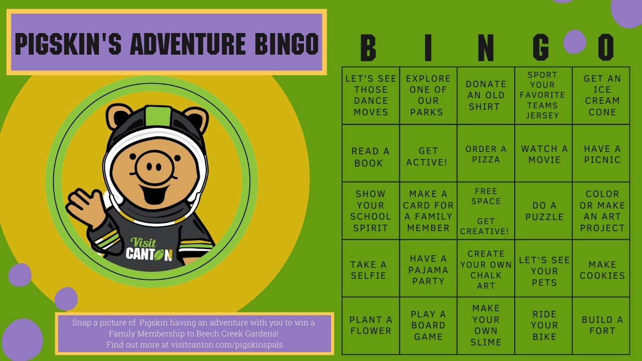 Bingo adventure