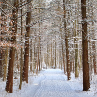 Outdoor Recreation & On-Your-Own Adventures